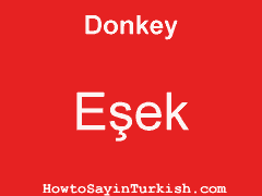 [ Donkey in Turkish is Eşek ]