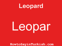 [ Leopard in Turkish is Leopar ]