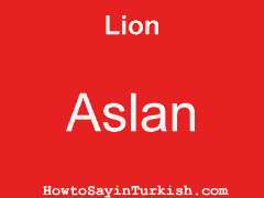 [ Lion in Turkish is Aslan ]