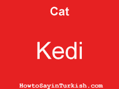 [ Cat in Turkish is Kedi ]
