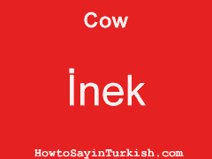 [ Cow in Turkish is İnek ]
