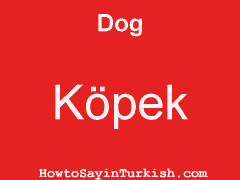 [ Dog in Turkish is Köpek ]