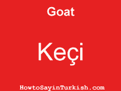 [ Goat in Turkish is Keçi ]