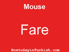 [ Mouse in Turkish is Fare ]