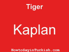 [ Tiger in Turkish is Kaplan ]
